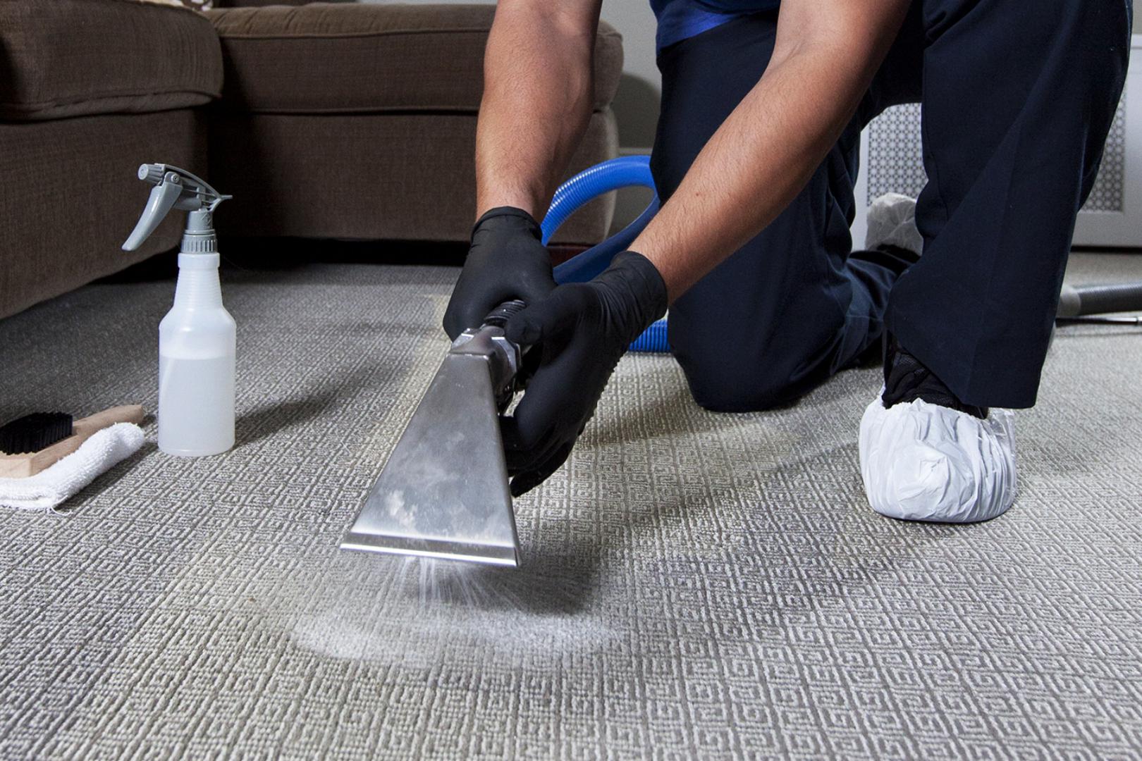 Carpet Cleaning 