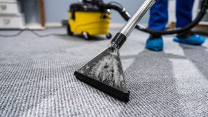 carpet cleaning canning vale